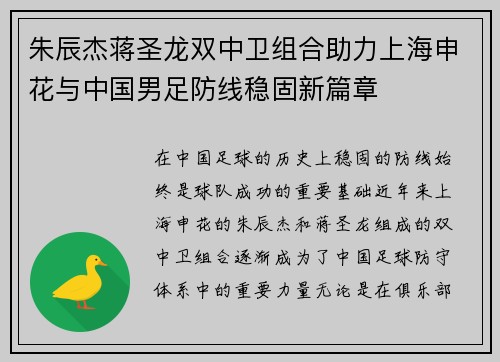 朱辰杰蒋圣龙双中卫组合助力上海申花与中国男足防线稳固新篇章
